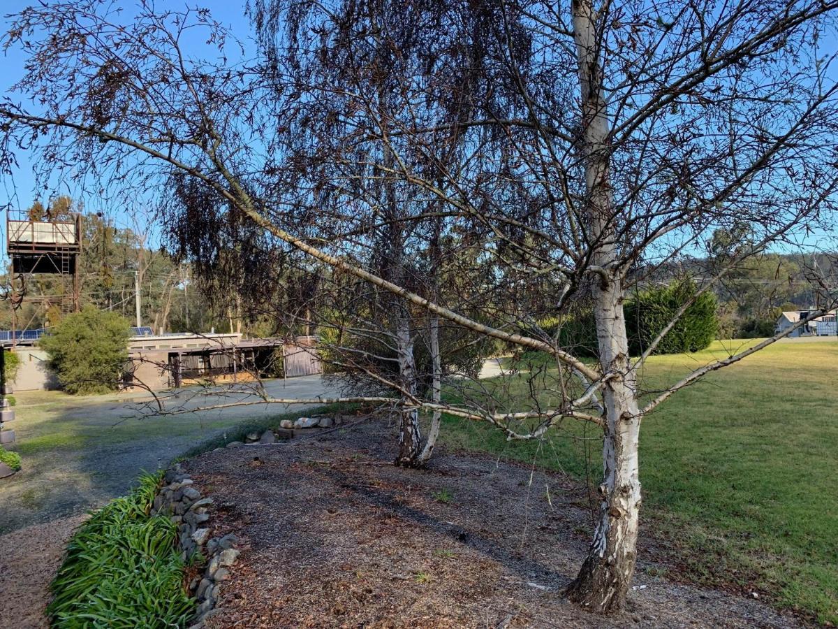 Nowa Nowa Motel - Budget Friendly Getaway In East Gippsland Εξωτερικό φωτογραφία